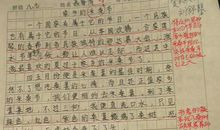 四季人生 优秀随笔作文600字