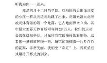 最后一次运动会 初三记叙文1100字