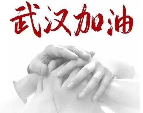 大爱无限 共同抗击疫情作文600字