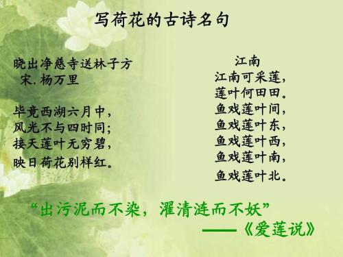 诗词是什么？ 初二议论文500字