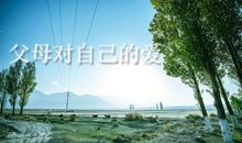 6年级写神奇的音响世界作文