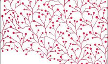 落英缤纷未尝不是一种美 高二作文800字