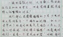 这家伙-优秀写人作文500字