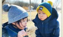 姚晨晒儿子英文作文，称妹妹世界最淘气有理有据，老师：你太苦了