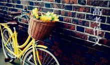 我的母亲英语作文