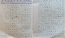 一年级英语作文：妈妈的爱_250字