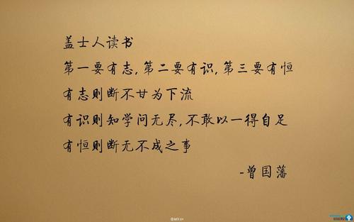 进了腊月就是年作文