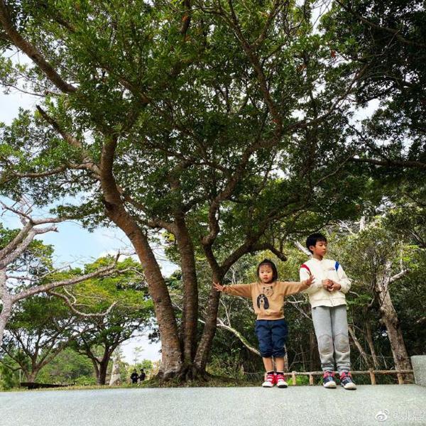 姚晨分享儿女日常,土豆写作文满腹委屈吐槽茉莉是最淘气的小孩 4