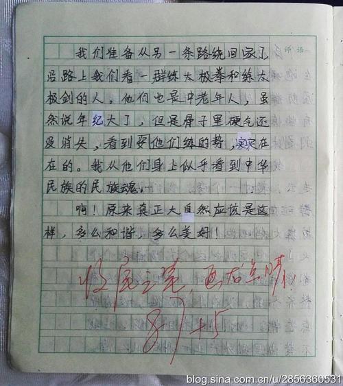 散步-小学写事作文350字