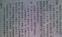 包容-优秀记叙文700字