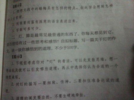 心灵之灯 初二灯话题的作文700字