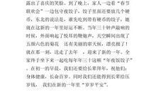 小学生宅家的春节作文700字