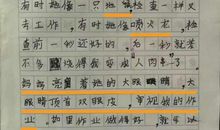 生活需要陪伴-关于陪伴的作文600字