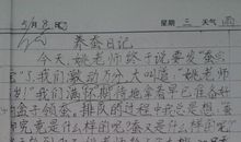 蚕绅士 养蚕作文400字