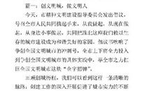 文明点缀的深圳更加美丽-初二记叙文600字