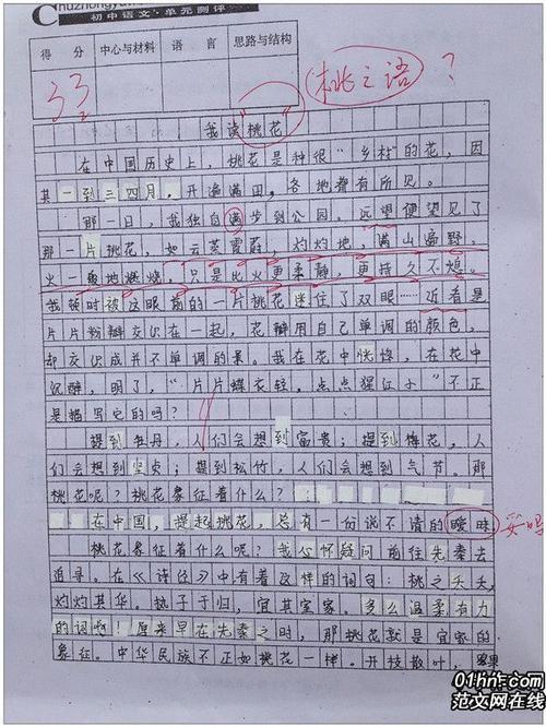 彩色 描写初三生活的作文800字