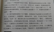 话说新年 初中生过年作文800字