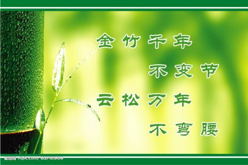 你连自律都做不到，还谈什么自由-议论性随笔400字