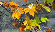 潍坊砺智小橘灯作文优秀学员作品推荐：成功源自失败