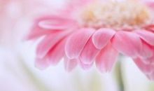 描写心灵美的句子