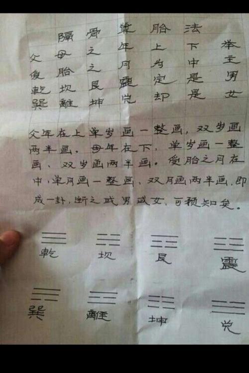 2007年宁波中考满分作文――钓到了另一条“大鱼”_1200字