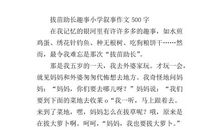 帮助老人 叙事故事作文500字