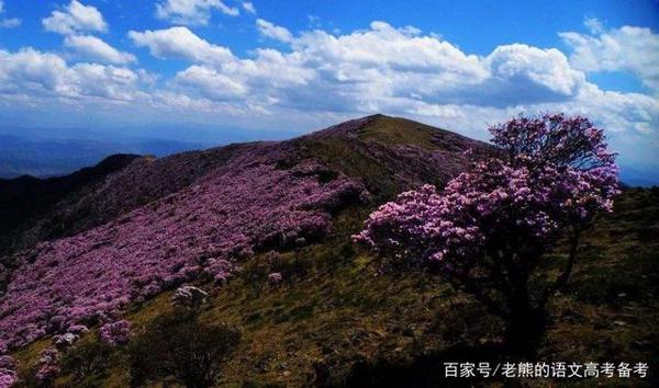 高考作文辅导30:唤醒孝的意识,“奖孝金”干得漂亮