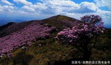 高考作文辅导30：唤醒孝的意识，“奖孝金”干得漂亮