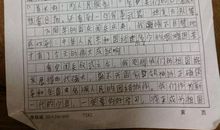 观后感言 小学生观后感300字