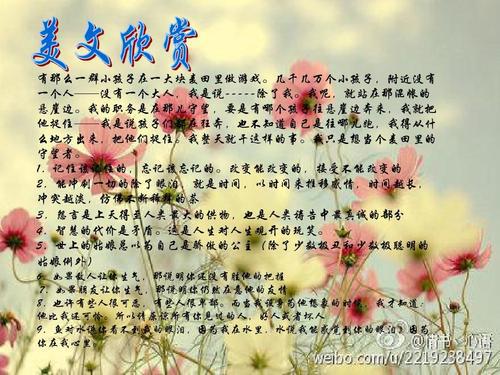 2007益阳中考满分作文赏析：自由麦田的守望者_900字