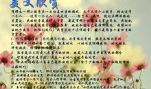 2007益阳中考满分作文赏析：自由麦田的守望者_900字