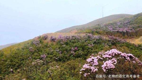 高考作文辅导30:唤醒孝的意识,“奖孝金”干得漂亮 1
