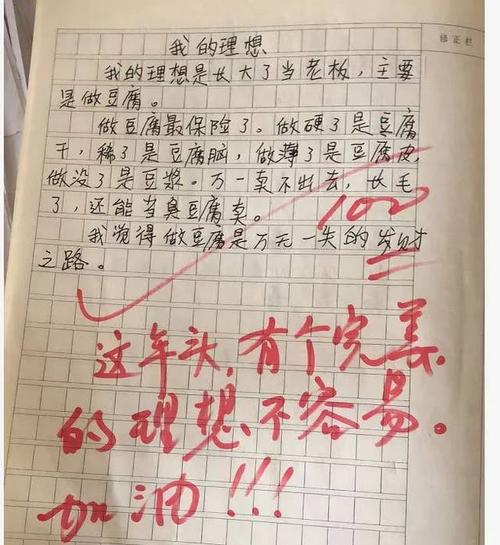 做豆腐的方法作文