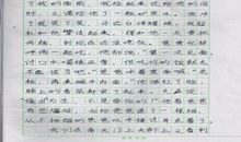 一堂特殊的课-小学写事作文600字