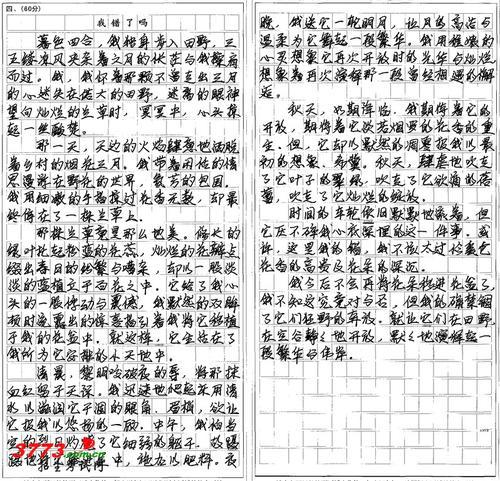那次,我真的错了作文