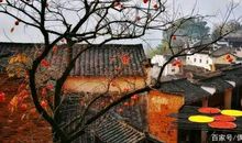 《围城》读后感及其赏析