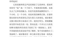 冬年的两场雪 难忘的2020年作文600字