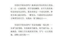 珍惜地球资源 环保演讲稿700字