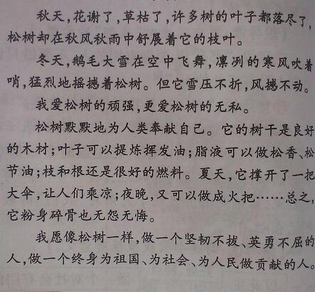 曹勇军：一篇作文就是一个项目课题