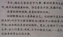 曹勇军：一篇作文就是一个项目课题