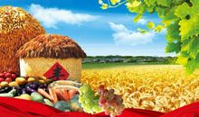 秋天丰收的句子