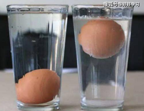六年级寒假作文500字范文