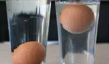 六年级寒假作文500字范文