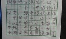 劳动的体会-大扫除作文300字