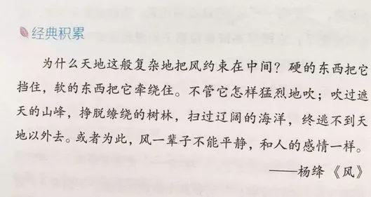 别怕作文！读了这套书，从作文困难户到“妙笔生花” 41