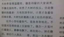 初中深圳的夜景作文600字