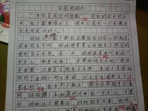 劳动的体会-小学写事作文400字