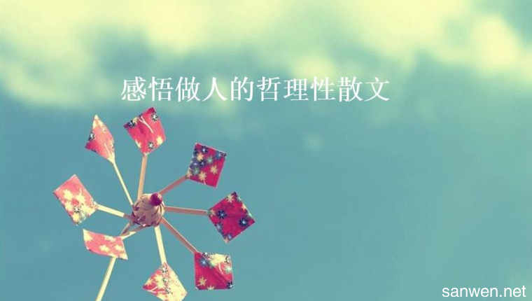抒情哲理散文：雨天的思_550字