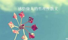 抒情哲理散文：雨天的思_550字