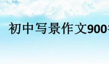 生活 初三议论文900字